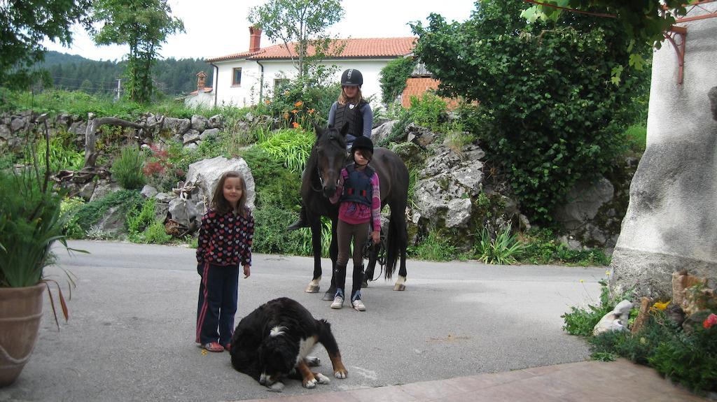 Вілла Tourist Farm Dujceva Domacija Времський Бритоф Екстер'єр фото