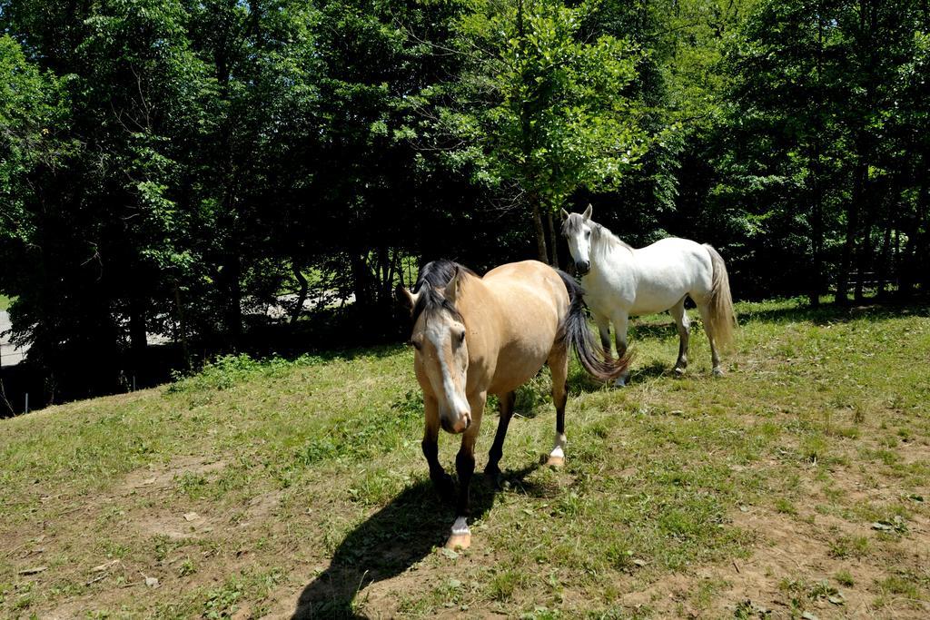Вілла Tourist Farm Dujceva Domacija Времський Бритоф Екстер'єр фото